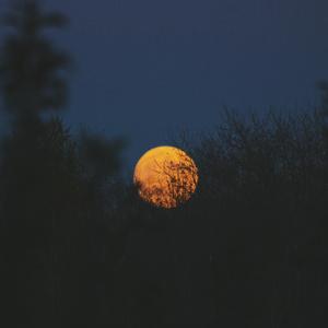 美女插鸡在线看
