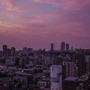 美女插鸡在线看
