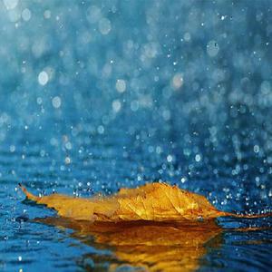 美女插鸡在线看
